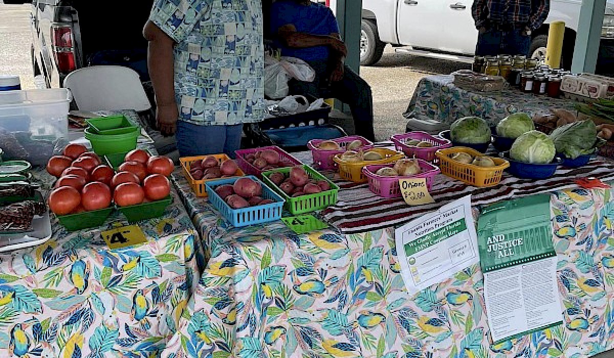 farmers set up at a farmers market with baskets of vegetables and canned items