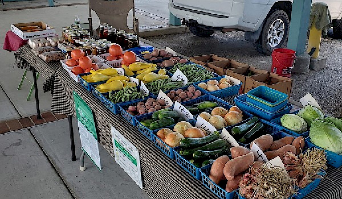 table of vegetables at a farmers market