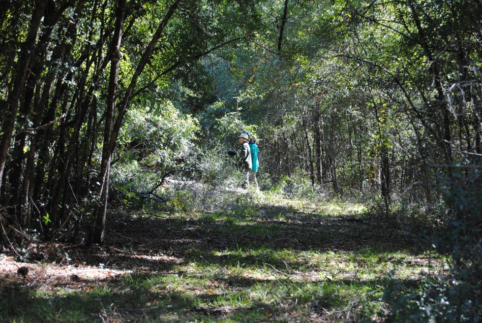 two birdwatcher walking through the woods