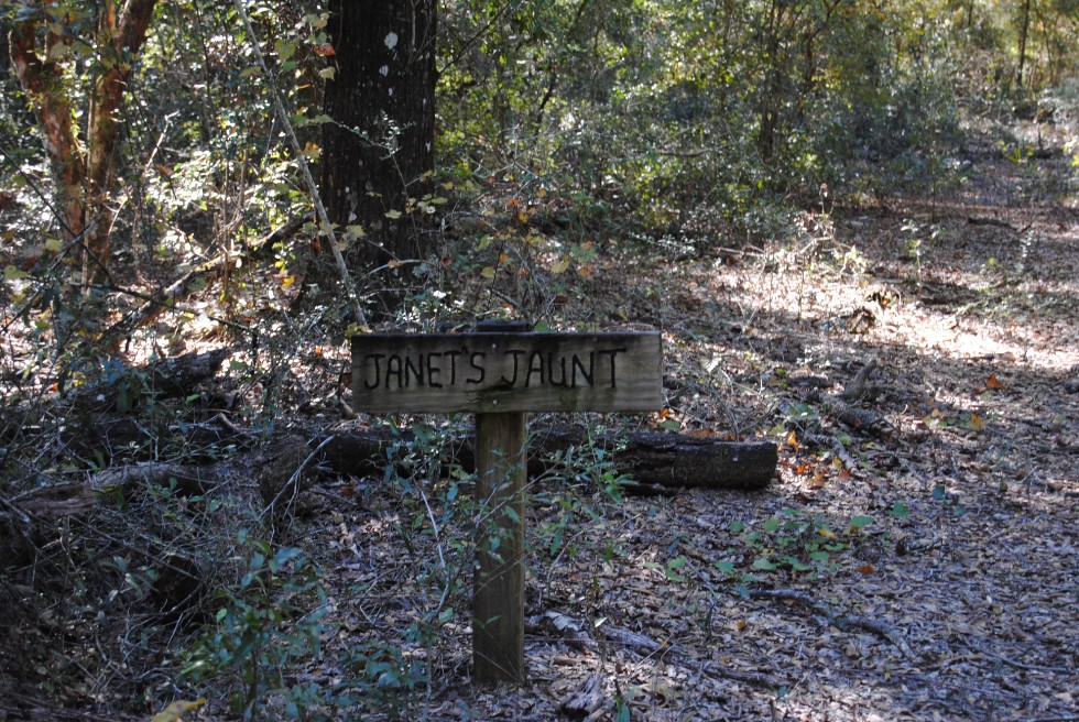 a wooden placard with Janets jaunt burnt into it