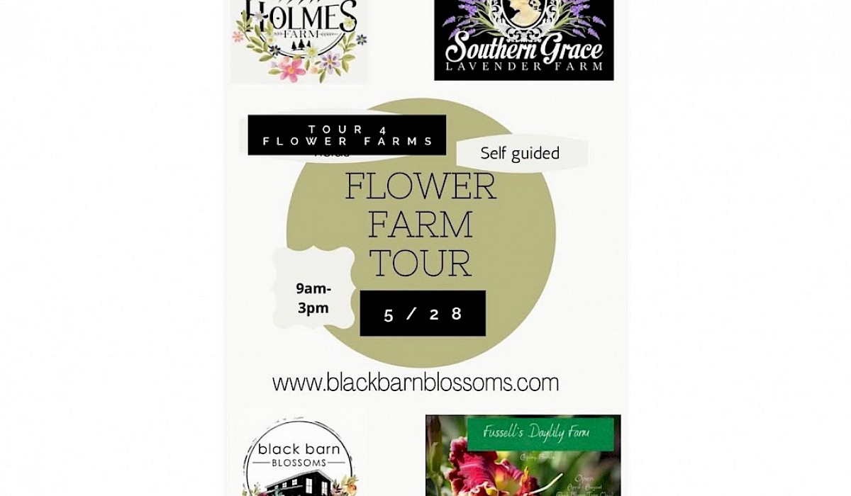 flower farm tour at four local farms