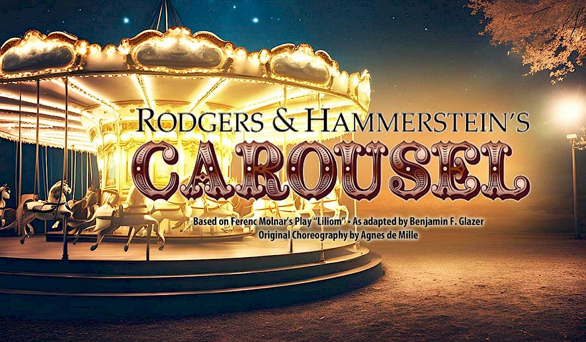 lit carousel in dark park